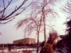 image007