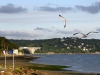 2009_06_18_0031