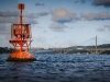 brest-15