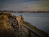 brest-meme-6