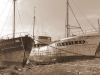21022009276