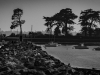 foret-7