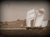 rhu54