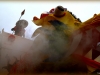 gras20140280