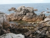 p8070039