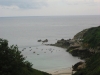 p80800620