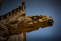 josselin-8