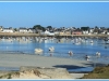kersaint