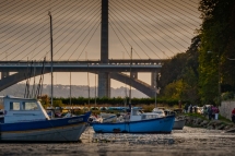 brest-meme-10