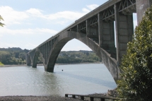 p1010004-001