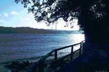 pont-001