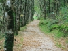 drennec0062-001