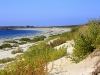 mg_3340