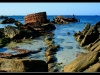 mg_3364-jpg