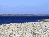 mg_3413