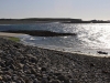 mg_3418