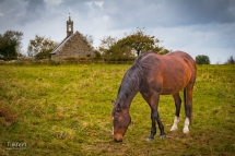 locronan