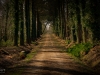 locronann-11