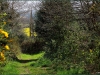 camptelo