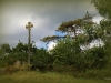 abbaye4