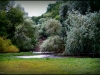 plantes00