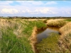 marais