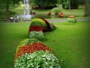 plantes01