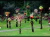 plantes04
