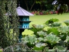 plantes08