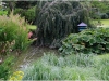 plantes09