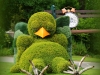 plantes10
