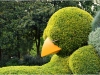 plantes11
