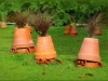 plantes14
