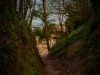 plomarch-5