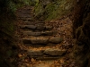plomarch-6