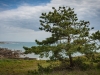 bigouden-4