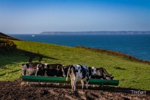 douarnenez-12
