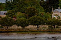 lanniron-4