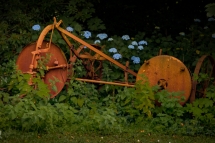 lanniron-6