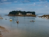 douarnenez-9