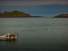roscoff-17