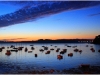 peche5
