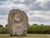 teille-4