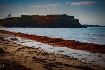 quiberon-72