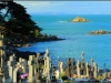 marin