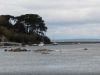 treboul