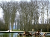 versailles12