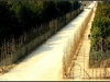 versailles17