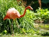 jardin012